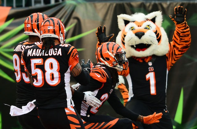 Who-dey the mascot is excited because the Bengals playoff game is sold out. (USATSI)
