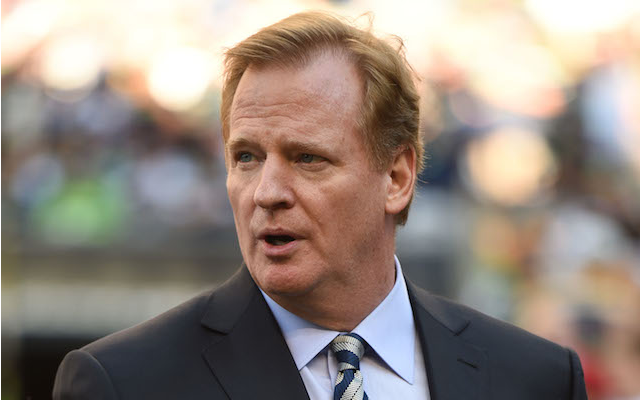 Roger Goodell will likely have to answer a few more questions about Ray Rice's suspension. (USATSI)