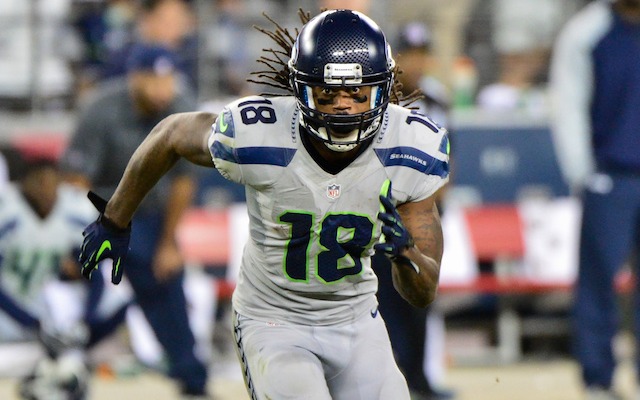 Sidney Rice had 231 receiving yards before tearing his ACL in October. (USATSI)
