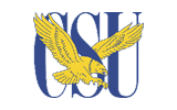 Coppin St. Eagles logo