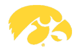 Iowa Hawkeyes logo
