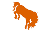 UT-Pan American Broncs logo