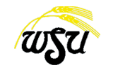 Wichita St. Shockers logo
