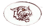 Bethune-Cook. Wildcats logo