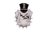 The Citadel Bulldogs logo