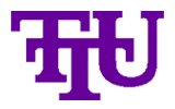 Tenn. Tech Golden Eagles logo