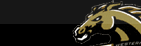 WMI