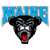 Maine Black Bears