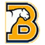 Birmingham-So. Panthers logo