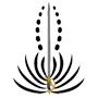 Chaminade Silverswords logo