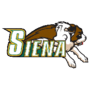 Siena Saints logo