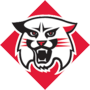 Davidson Wildcats logo