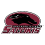 Southern Illinois Salukis logo