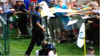 Watch: Tiger Nearly Stampeded Trying to Give Autographs