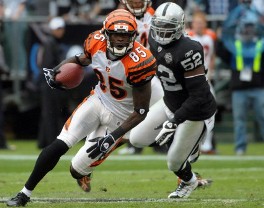 C. Ochocinco (US Presswire)
