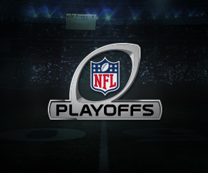 NFL Playoff Picture - 2014-2015 NFL Standings - CBSSports.com