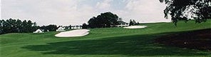 No. 15 (Getty Images)