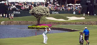 Course Guide