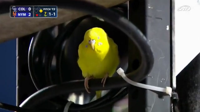 360metsrallykeet.jpg