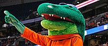 Florida Gators