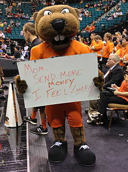 Oregon State's mascot has the Vegas vibe. (Dennis Dodd)