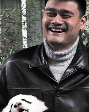 Retired NBA star Yao Ming holds a panda during a release ceremony at the Panda Valley nature preserve in China. (AP)