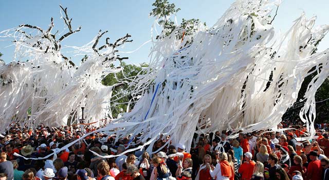 Auburn fans drape the dying trees at Toomer's Corner after the spring game on Saturday. (Getty Images)