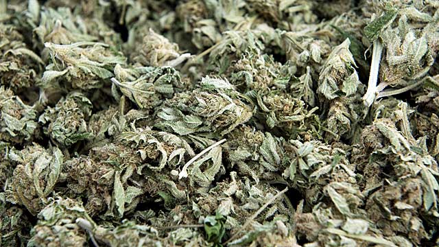 Marijuana use among college athletes reportedly continues to rise. (Getty Images)