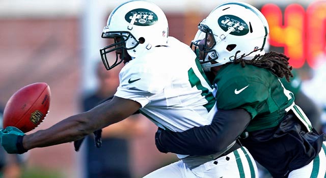 Santonio Holmes is day to day after hurting his ribs in practice on Saturday. (US Presswire)