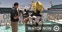 Jacksonville Jaguars (screen grab)