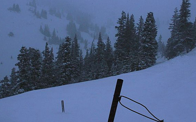 Snow falls near where five backcountry snowboarders were found dead on Loveland Pass, Colo. (AP)