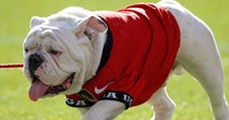 Uga (USATSI)