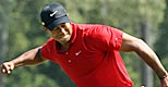 Tiger mini (Getty Images)