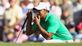 tiger new column