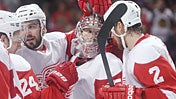 Red Wings (USATSI)