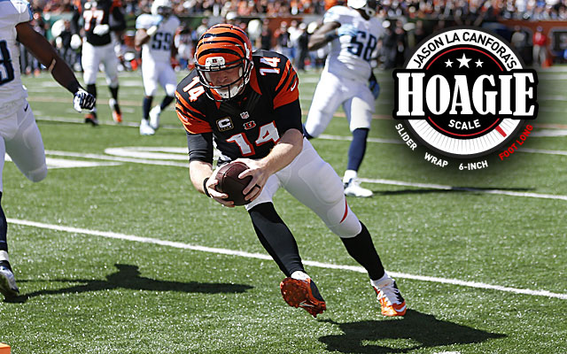 No panic for the Cincinnati Bengals heading into the bye week 5-4