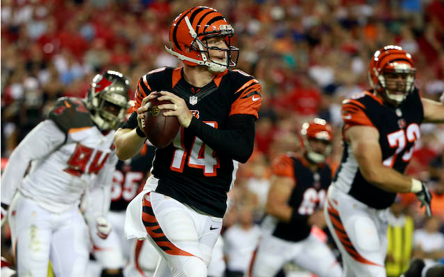 Andy Dalton is struggling in Tampa Bay. (USATSI)