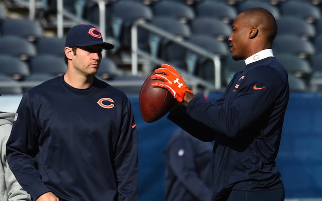 Jay Cutler is not one of Brandon Marshall's favorite teammates. (USATSI)