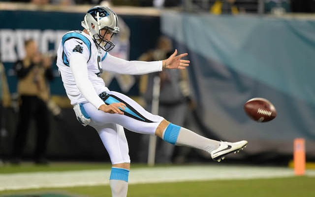 Carolina Panthers punter Brad Nortman (8) during the NFL football