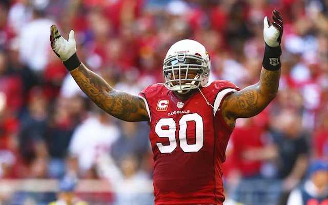 Darnell Dockett will miss the season after tearing his ACL on Monday. (USATSI)