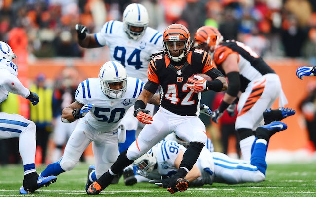 BenJarvus Green-Ellis was wrongly awarded a touchdown against the Colts. (USATSI)