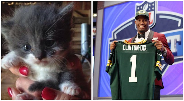 Ha Ha Clinton-Dix, meet Ha Ha Kitten-Dix. (Twitter/USATSI)