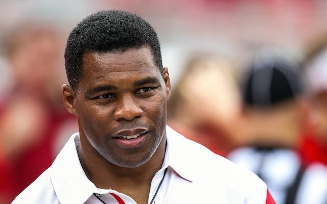 herschel walker in the nfl