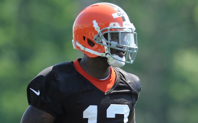 Josh Gordon has been suspended for a year. (USATSI)