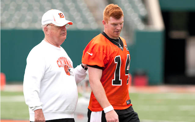 Bengals owner Mike Brown treated for medical incident in Arizona 