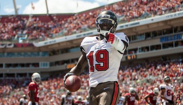 Tampa Bay wide receiver Mike Williams has been placed on injured reserve. (USATSI)