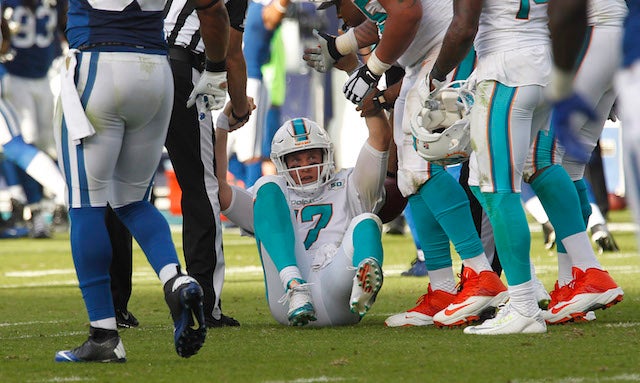 Ryan Tannehill only has one fan in the Grimes' household. (USATSI)