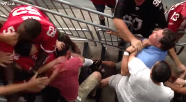 Arizona Cardinals' Darnell Dockett meets fan who wore his jersey during  brawl - Sports Illustrated