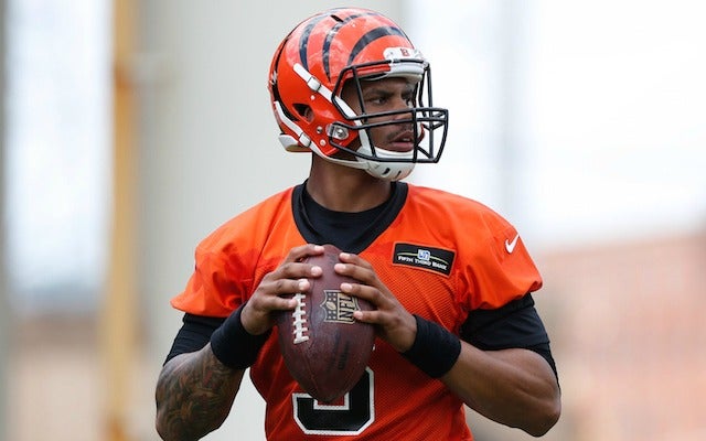After being cut by the Bengals, Terrelle Pryor is ready for a position switch. (USATSI)