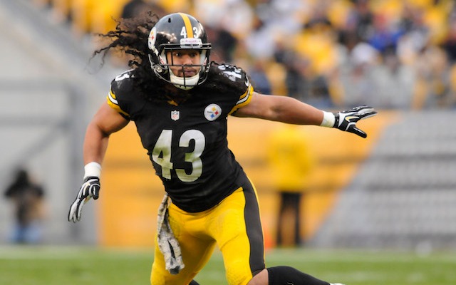 Steelers sign Polamalu, Miller while getting cap relief